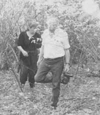 Overgrown section of Vishnive Jewish cemetery with pre-WWII gravestones, May 1996