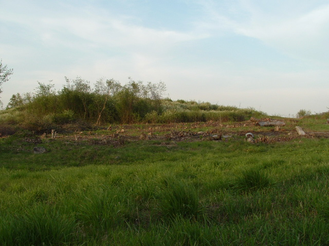 Jewish cemetery in Vishnive, May 2004
