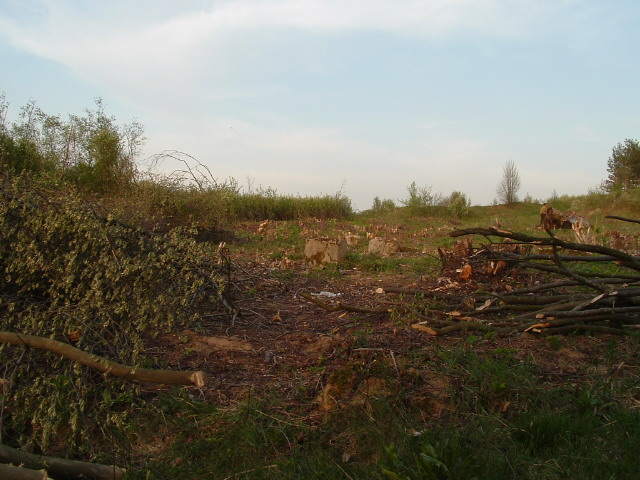 Jewish cemetery in Vishnive, May 2004