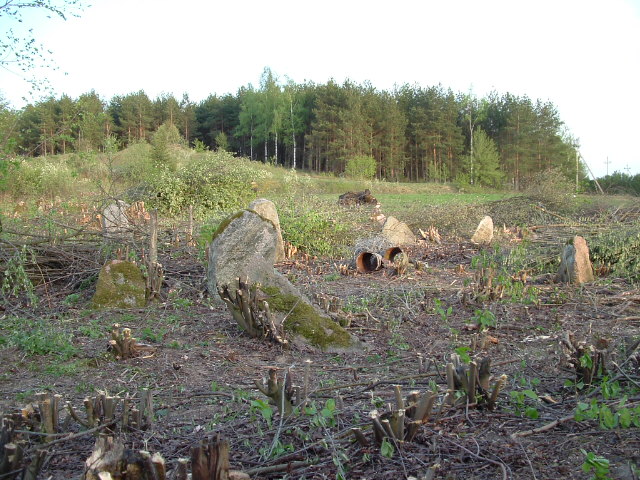 Jewish cemetery in Vishnive, May 2004