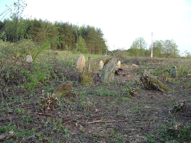 Jewish cemetery in Vishnive, May 2004