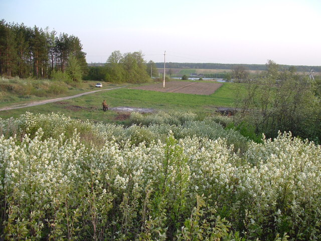 Jewish cemetery in Vishnive, May 2004