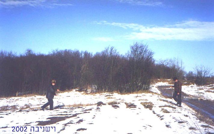 Jewish cemetery in Vishnive before restoration