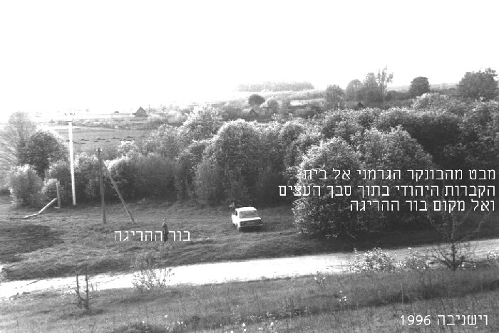 Jewish cemetery in Vishnive before restoration