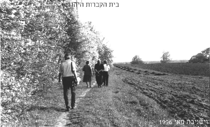 Jewish cemetery in Vishnive before restoration