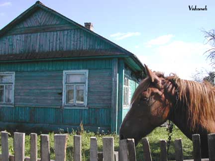 Horse in Vishnive, photographed September 2001