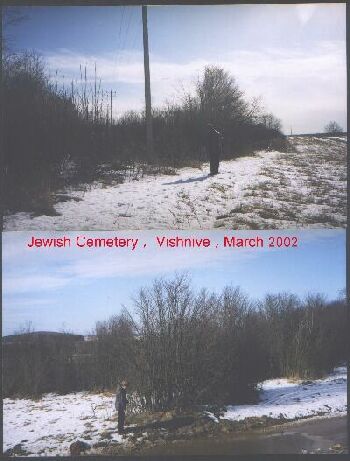 Jewish cemetery in Vishnive, March 2002