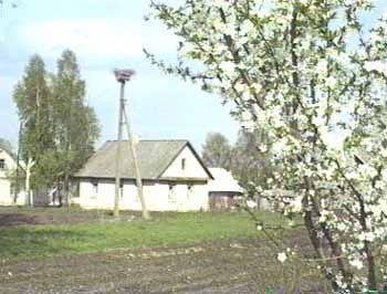 Vichodnitza 1996