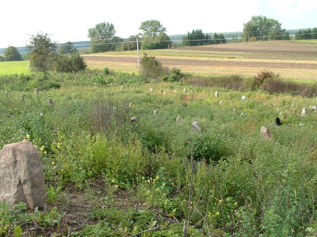 Photo of Vishnive and Jewish cemetery, November 2004 – photo 10