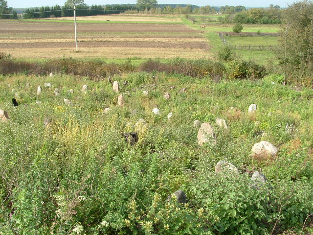 Photo of Vishnive and Jewish cemetery, November 2004 – photo 11