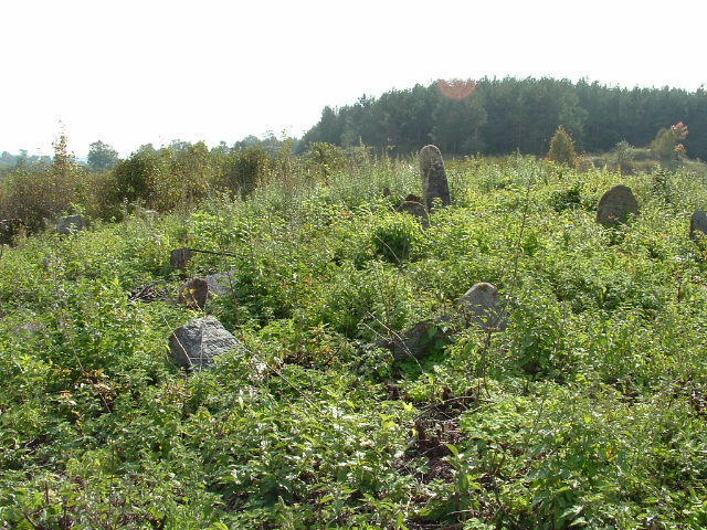 Photo of Vishnive and Jewish cemetery, November 2004 – photo 12