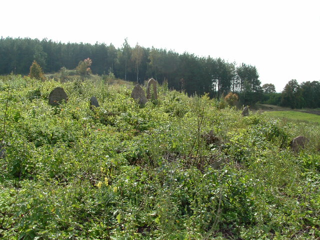 Photo of Vishnive and Jewish cemetery, November 2004 – photo 14