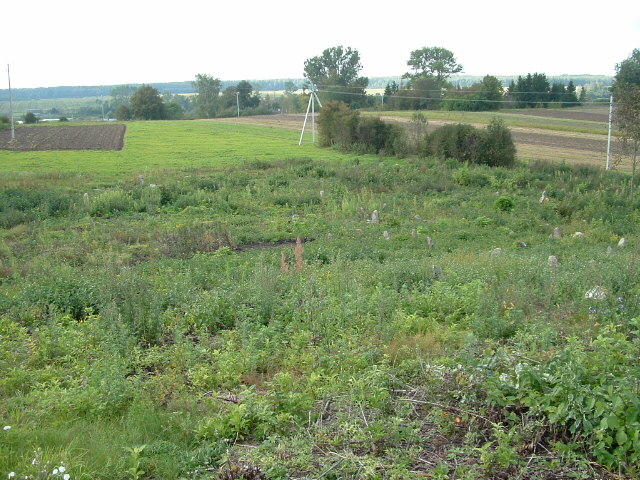 Photo of Vishnive and Jewish cemetery, November 2004 – photo 16