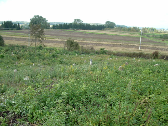 Photo of Vishnive and Jewish cemetery, November 2004 – photo 17
