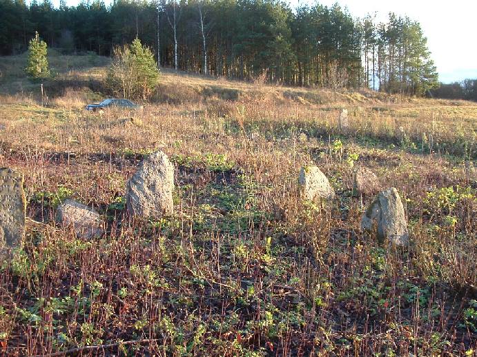 Photo of Vishnive and Jewish cemetery, November 2004 – photo 2