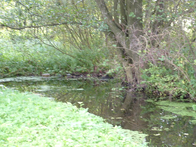Photo of Vishnive and Jewish cemetery, November 2004 – photo 22