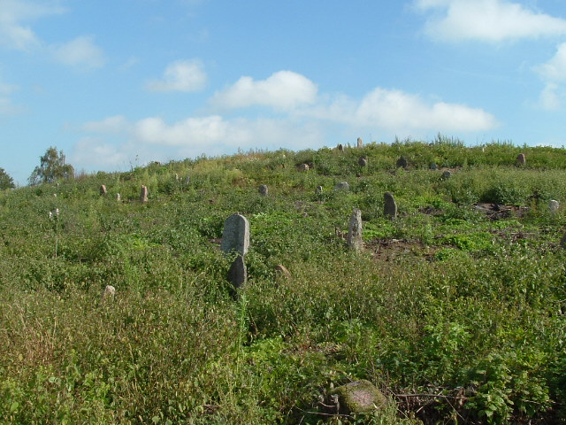 Photo of Vishnive and Jewish cemetery, November 2004 – photo 6