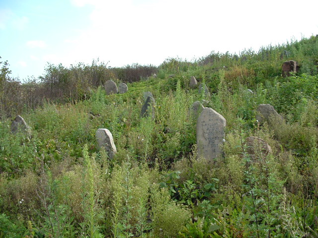 Photo of Vishnive and Jewish cemetery, November 2004 – photo 7