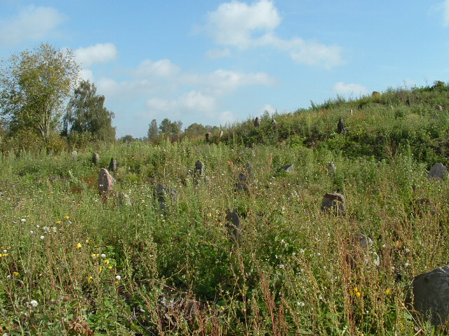 Photo of Vishnive and Jewish cemetery, November 2004 – photo 8